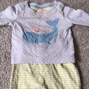 Boden Whale set